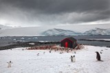 Port Lockroy 39