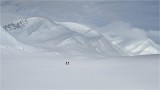Winter in the Arctic Tundra