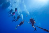 Amazing Zenobia wreck 105