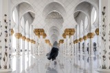 Wind of Zayed