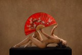 RED FAN 28