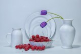 Still Life_8973