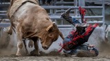 Bull Push