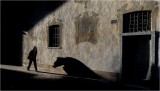 Mysterius shadows 51