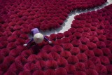 The Stick Factory from Above