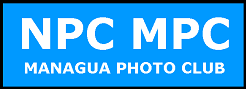 NPC-MPC-EXHIBITION